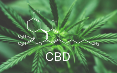 How CBD Can Help Improve Your Overall Health and Wellbeing